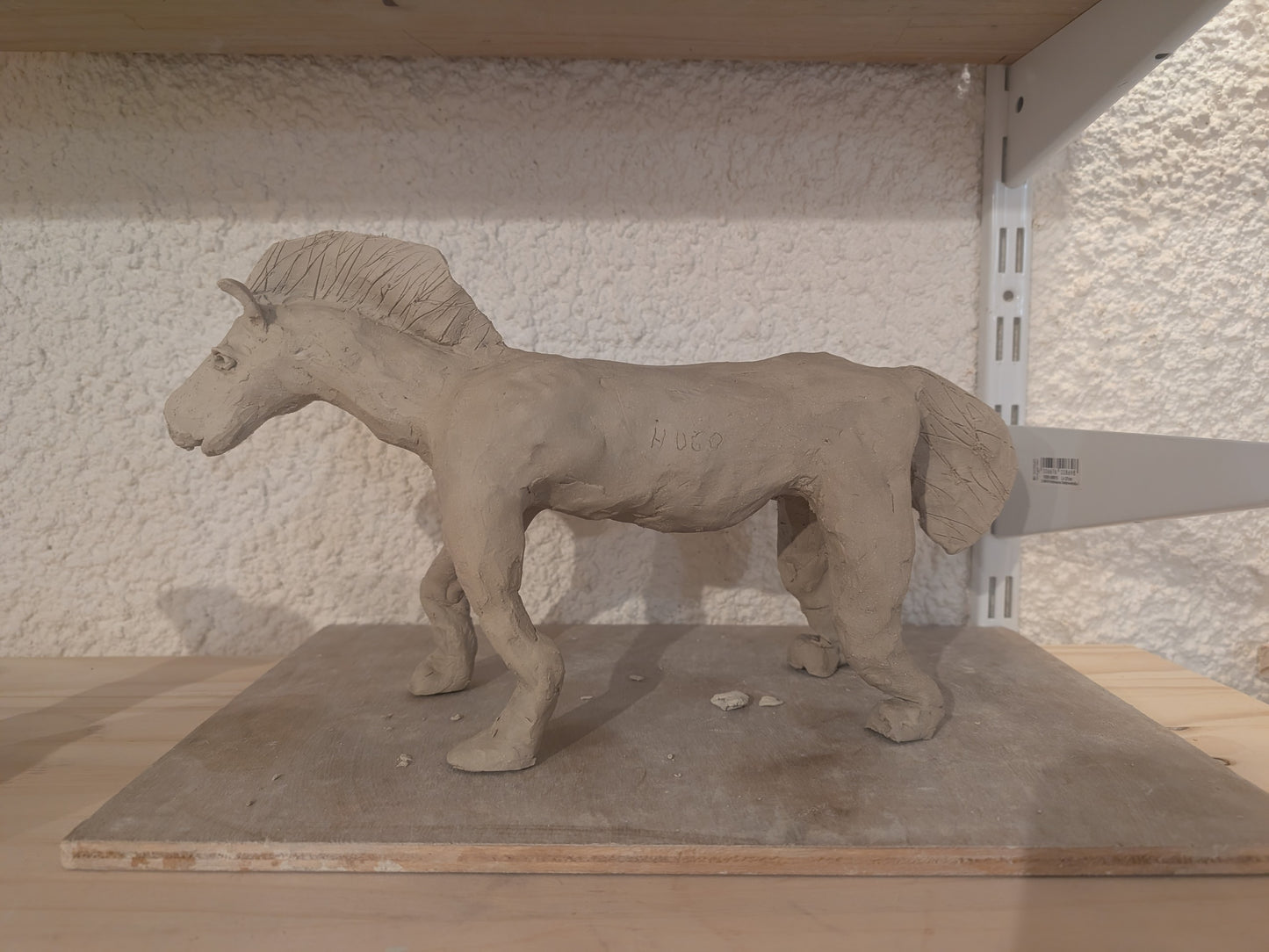 Stage Sculpture Animalière – Spécial Enfants